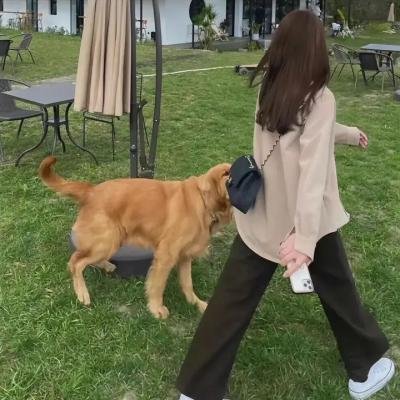 我的早更女友